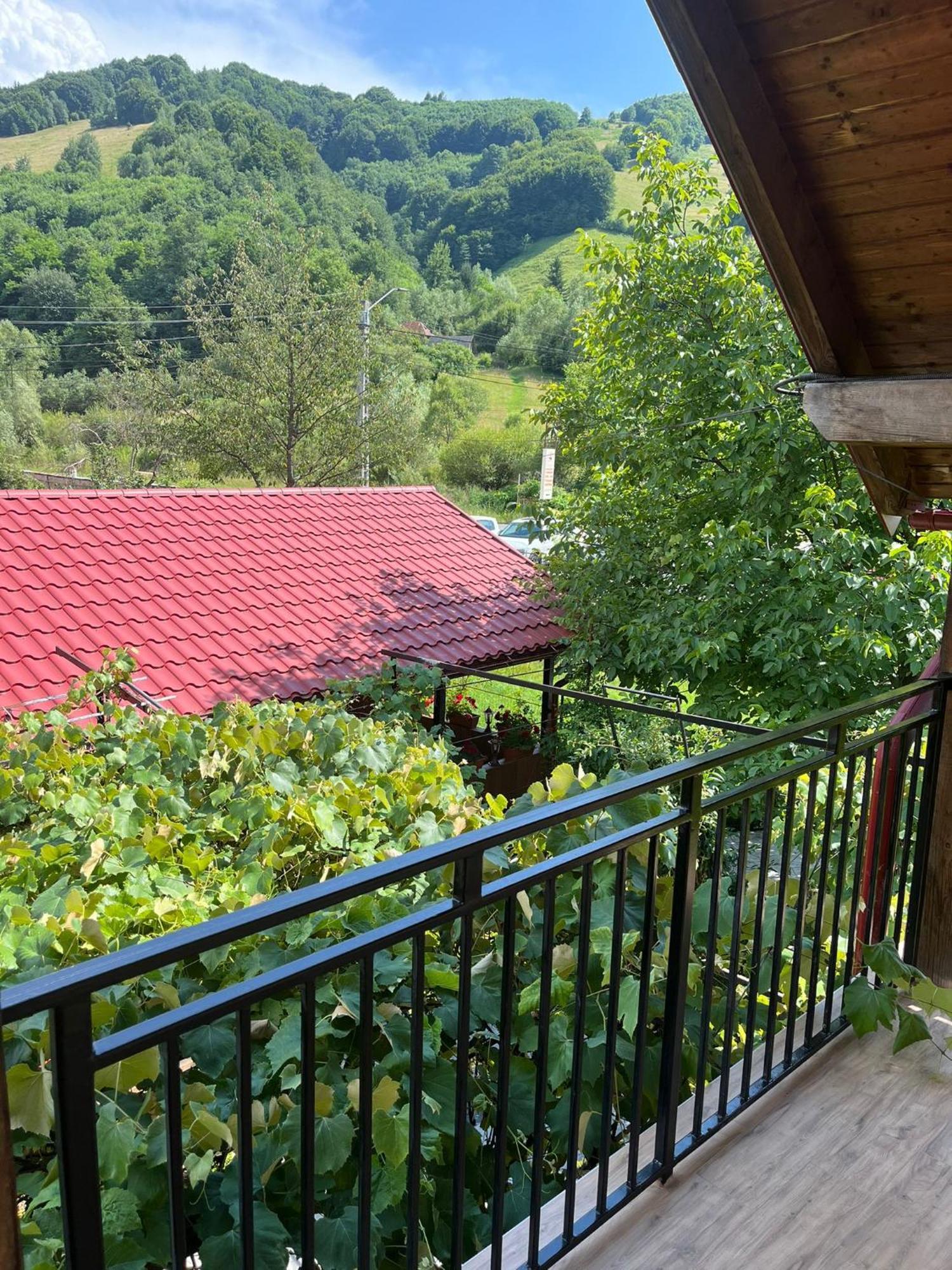 Hotel Kilometru108 Leordina Exterior foto