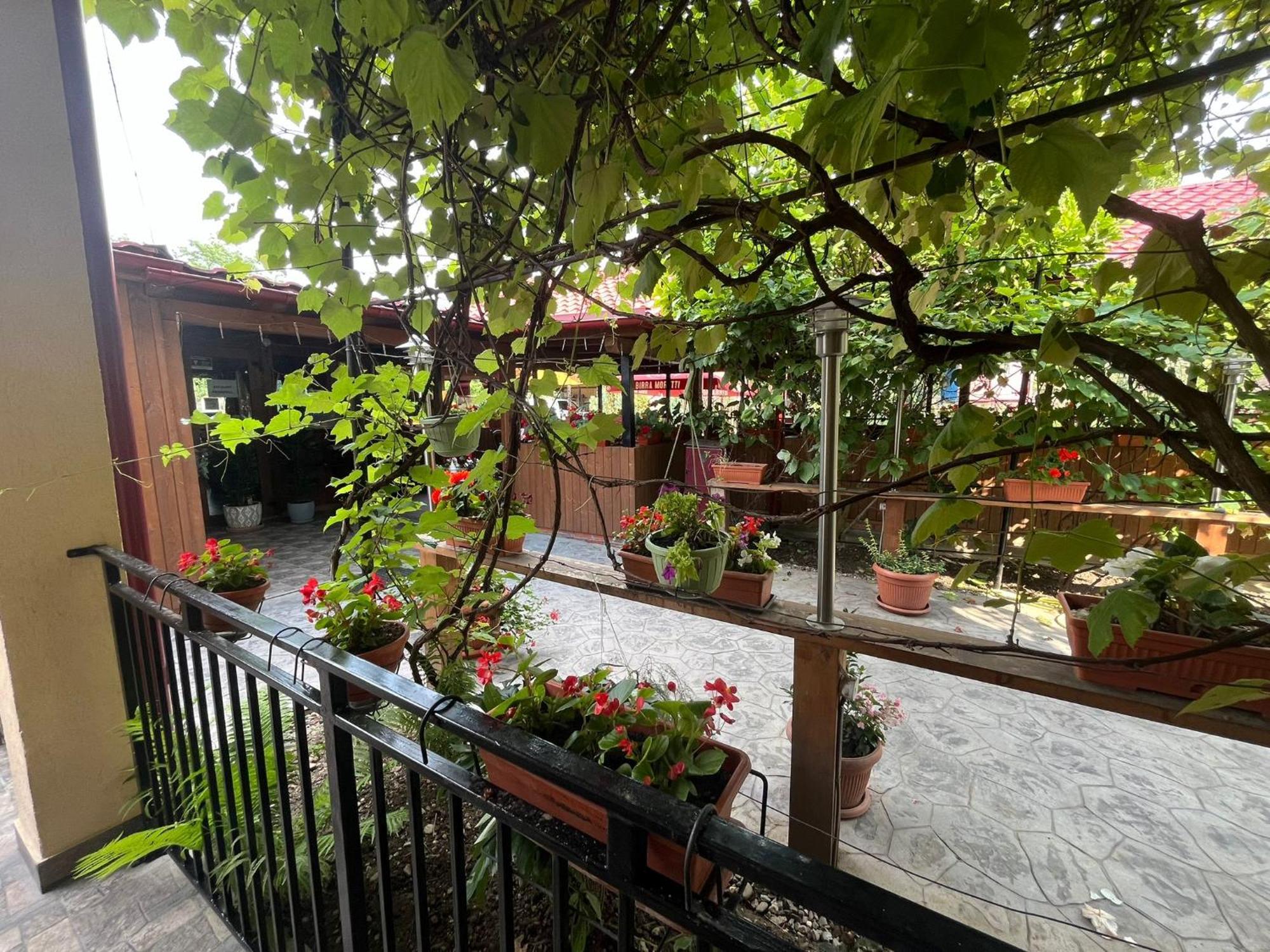 Hotel Kilometru108 Leordina Exterior foto